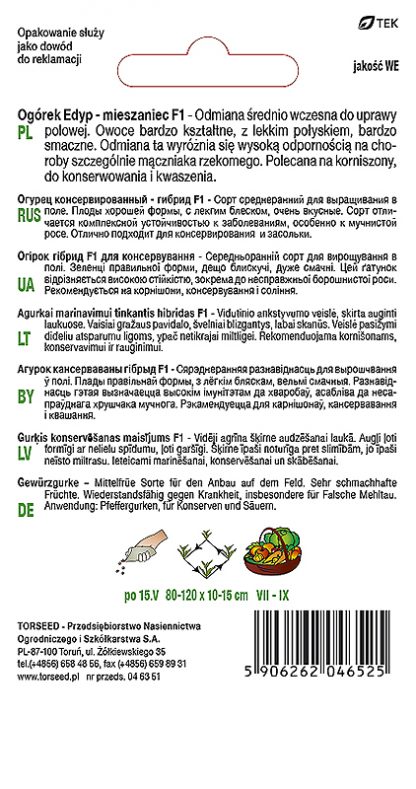 Ogórek gruntowy konserwowy Edyp F1 nasiona 3g średnio wczesny - obrazek 2